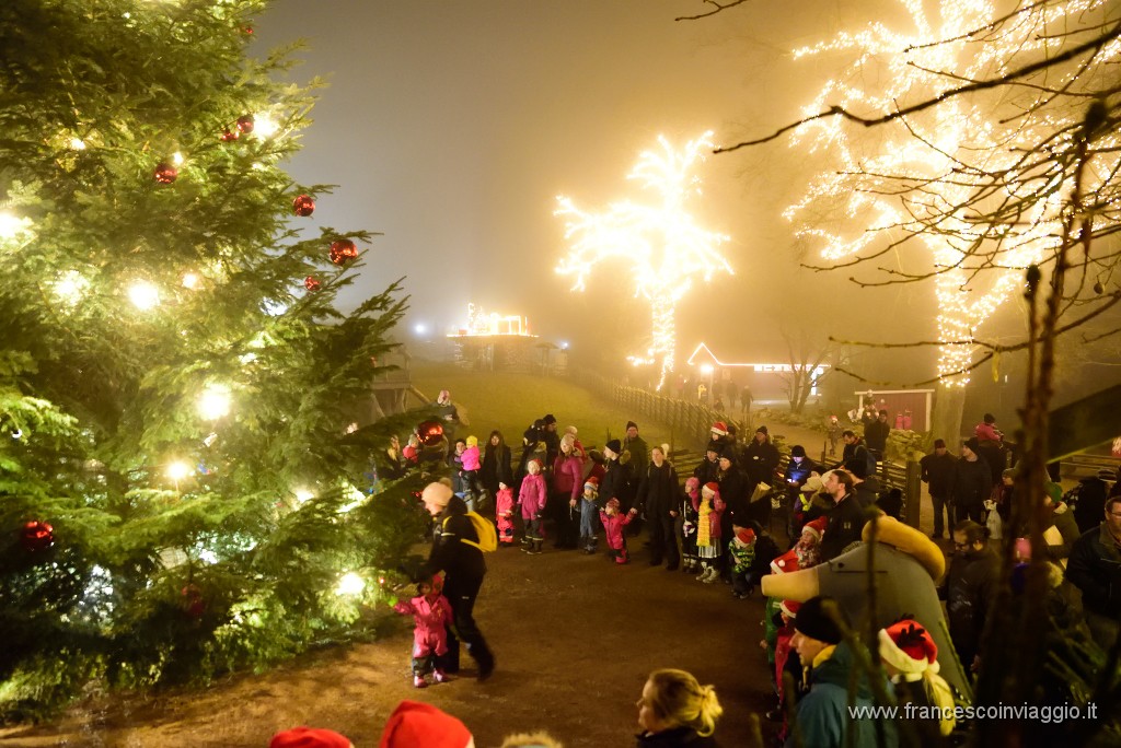 139DSC_2625.JPG