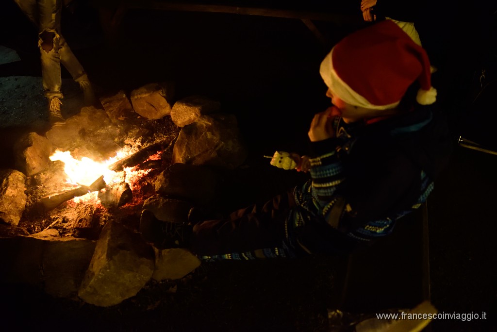 162DSC_2679.JPG