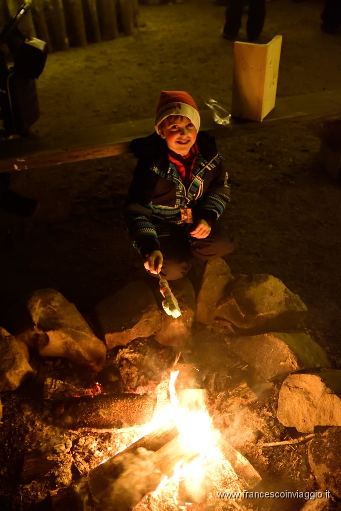 164DSC_2684.JPG