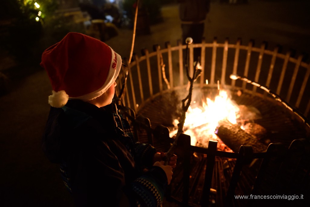 44DSC_2362.JPG
