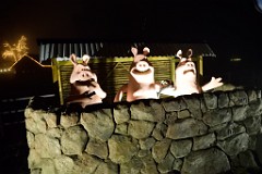104DSC_2531