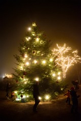 118DSC_2586