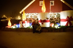120DSC_2591