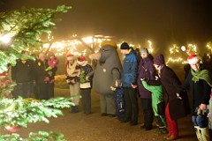 131DSC_2606