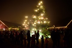 134DSC_2612