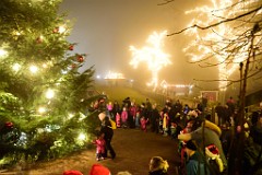 139DSC_2625