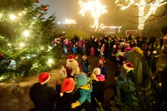 141DSC_2628