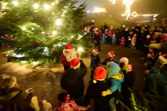 142DSC_2629