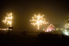 174DSC_2708
