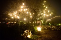 55DSC_2409