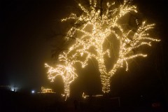 58DSC_2412