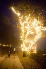 6DSC_2265