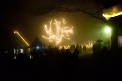 75DSC_2442