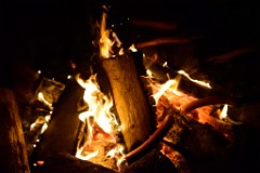 84DSC_2467
