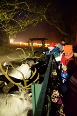 8DSC_2268
