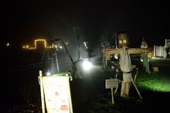 99DSC_2520