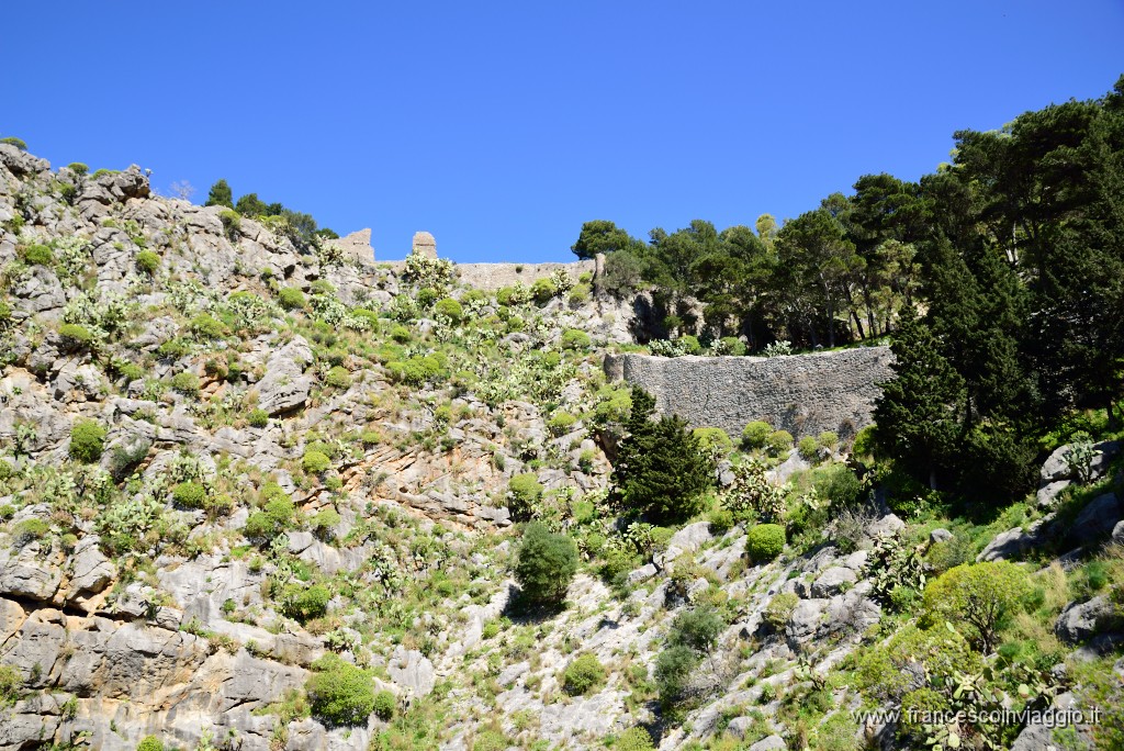 DSC_1577.JPG