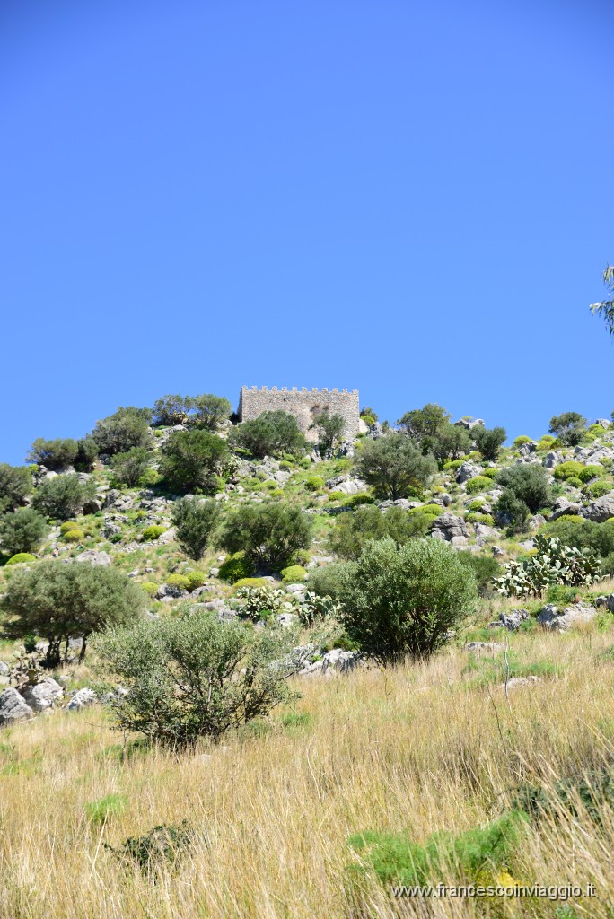 DSC_1596.JPG