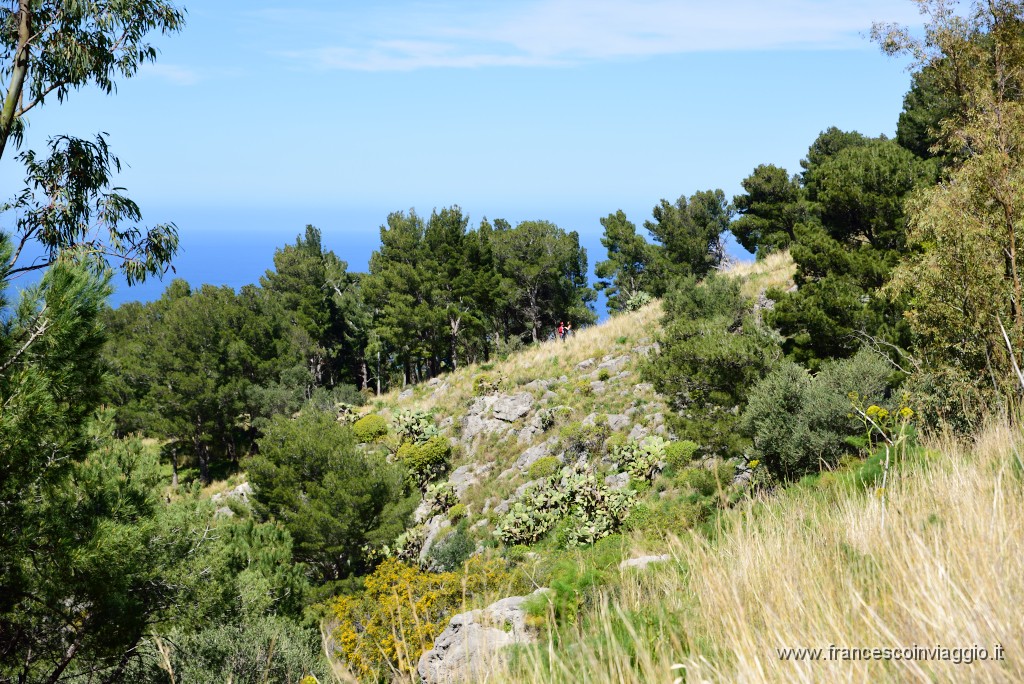 DSC_1597.JPG
