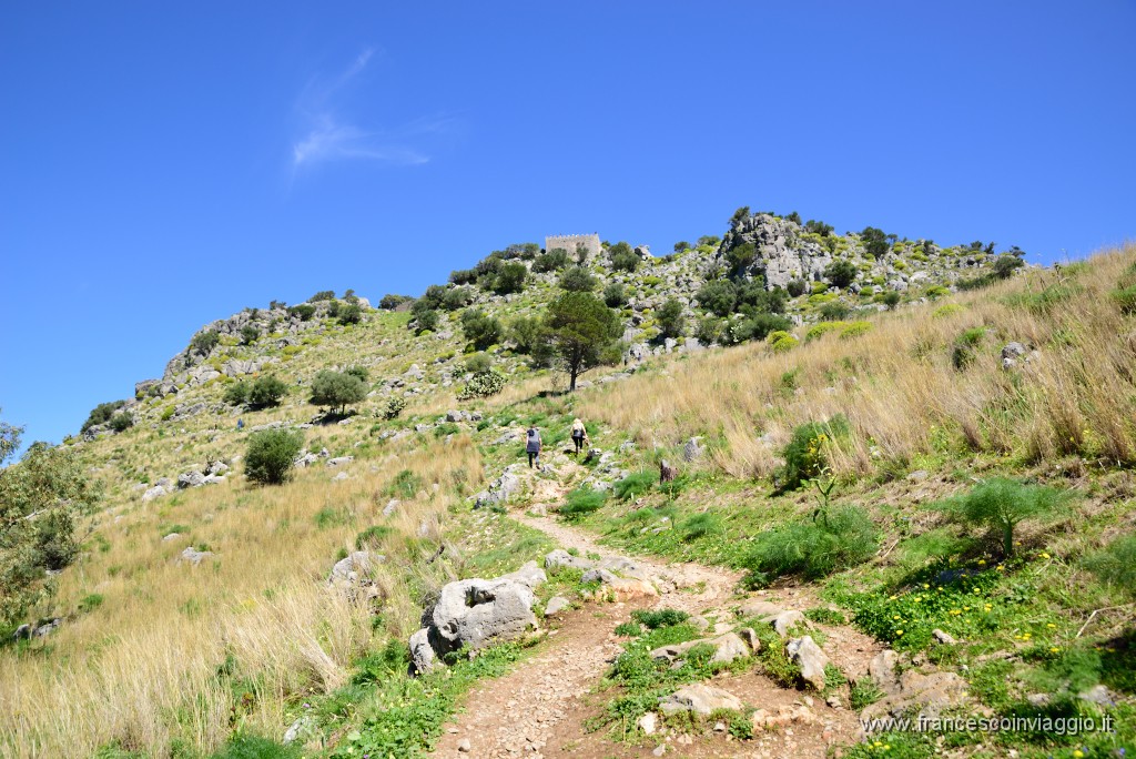 DSC_1602.JPG