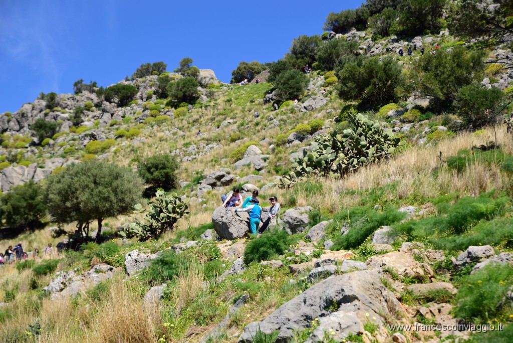 DSC_1606.JPG
