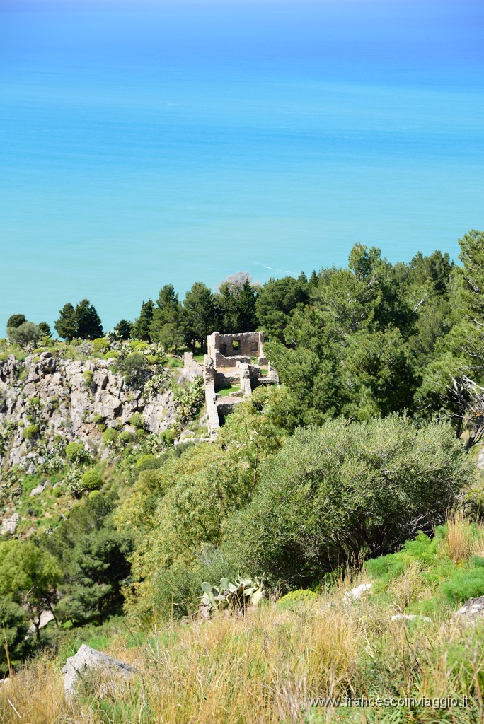 DSC_1611.JPG