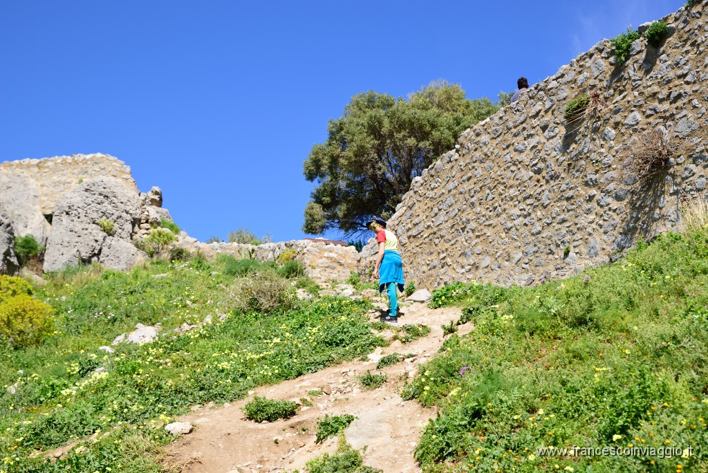 DSC_1623.JPG