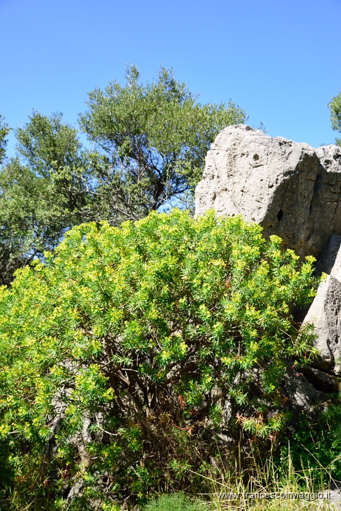 DSC_1633.JPG