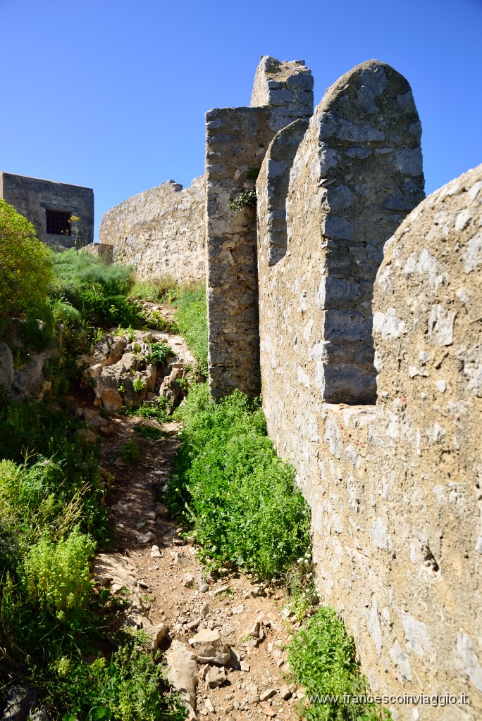 DSC_1659.JPG