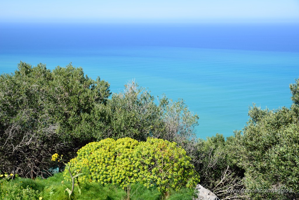 DSC_1660.JPG