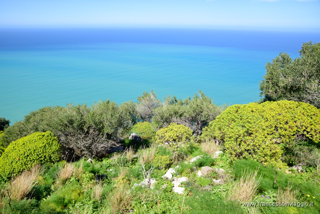 DSC_1664.JPG