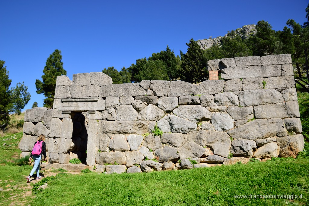 DSC_1700.JPG