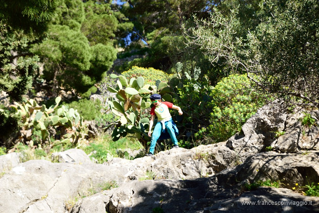 DSC_1746.JPG