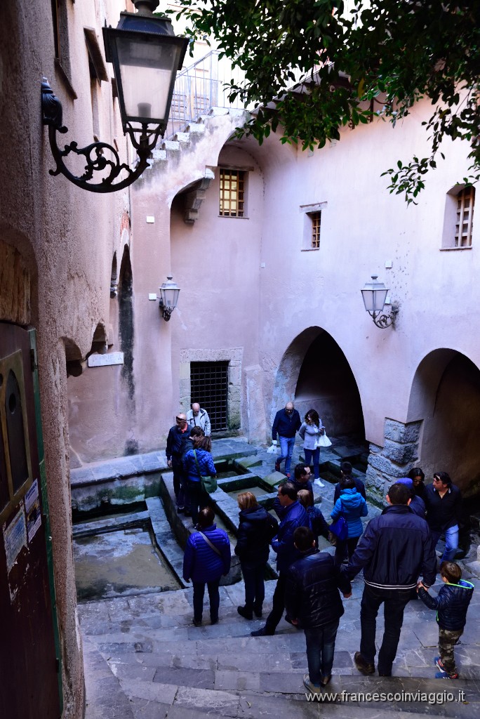 DSC_1779.JPG