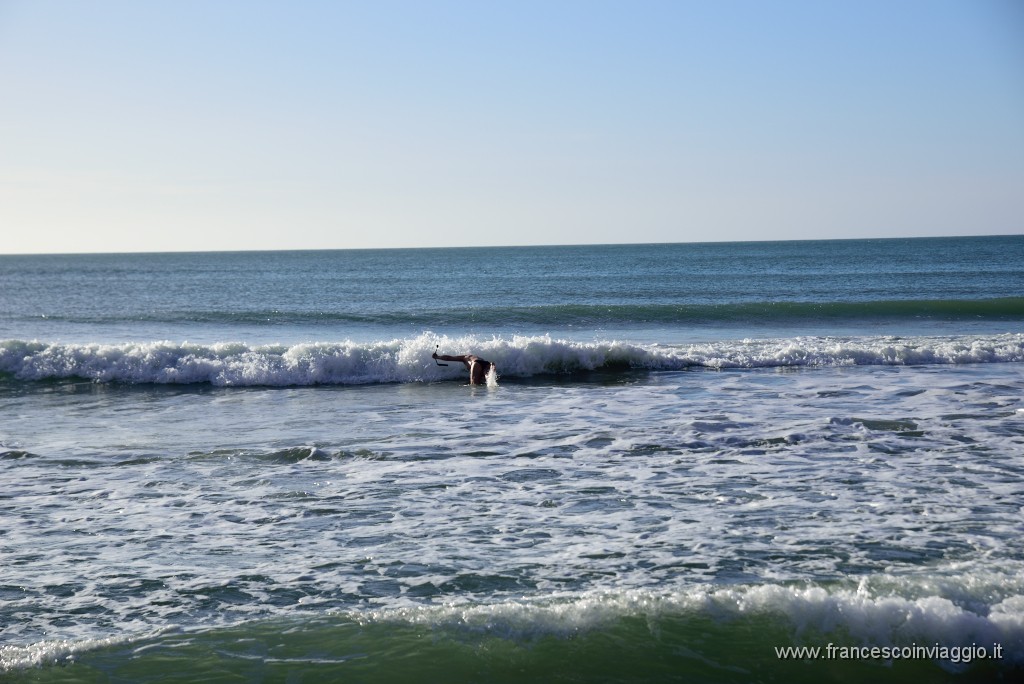 DSC_1811.JPG