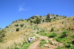 DSC_1602