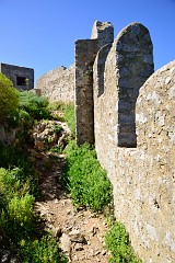 DSC_1659