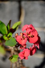 DSC_1748