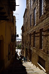 DSC_1750