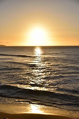 DSC_1901
