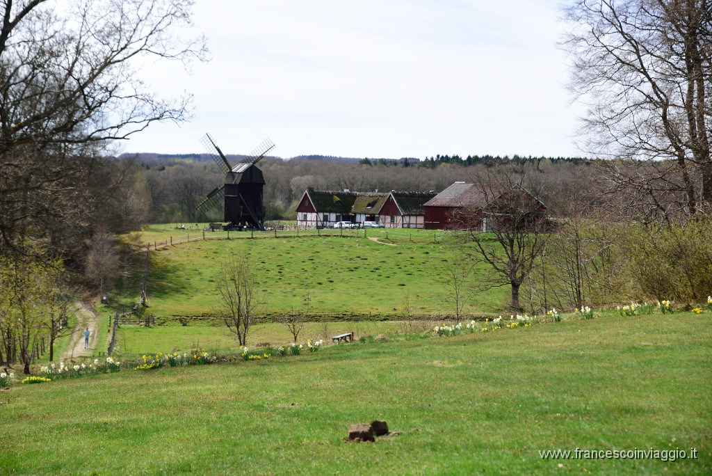 DSC_2967.JPG
