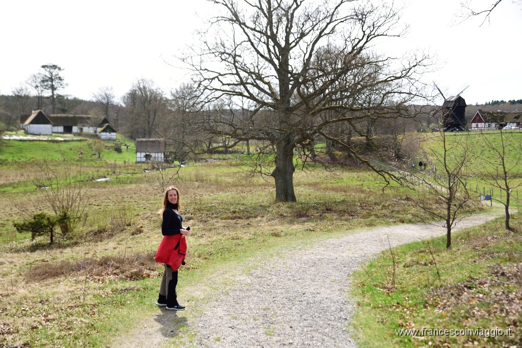 DSC_2989.JPG