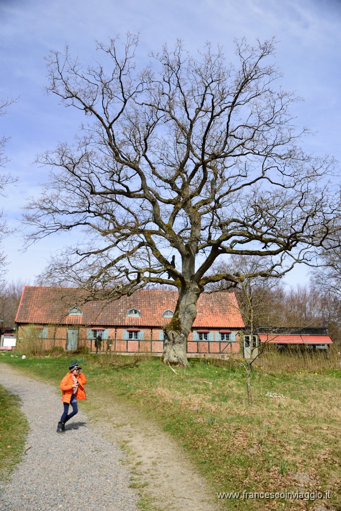 DSC_2990.JPG