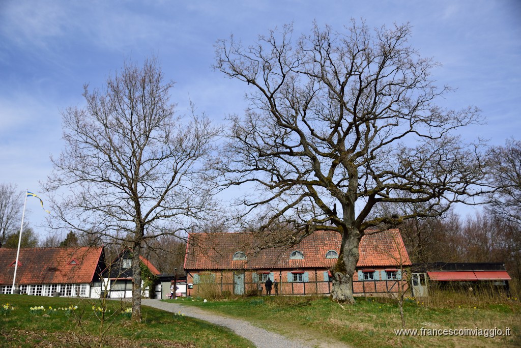 DSC_2994.JPG