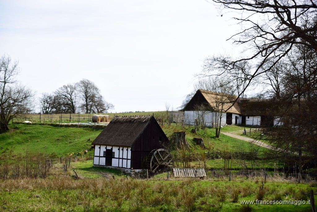 DSC_3004.JPG