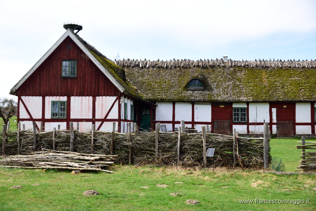 DSC_3016.JPG
