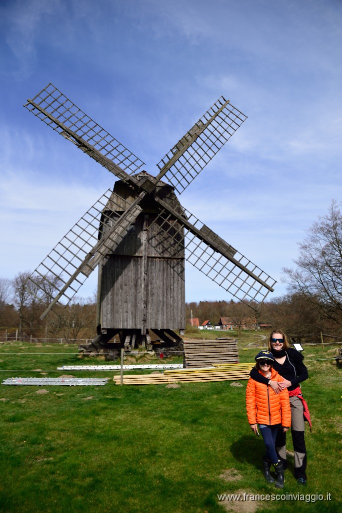 DSC_3017.JPG