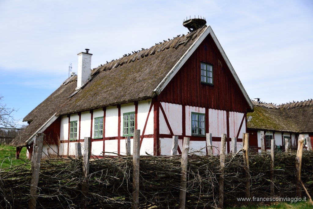 DSC_3026.JPG