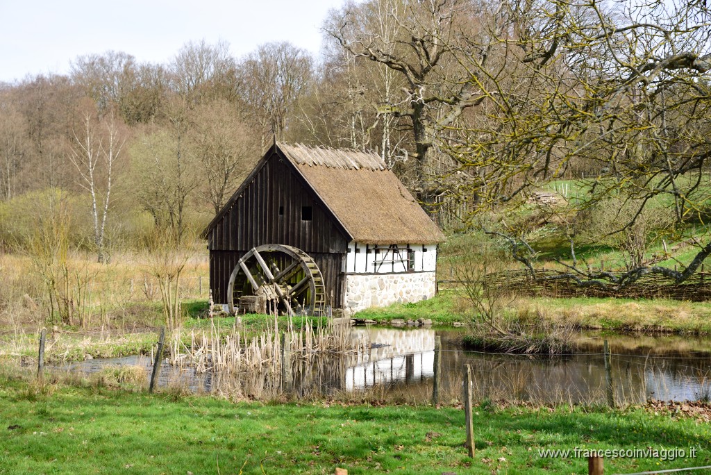 DSC_3033.JPG