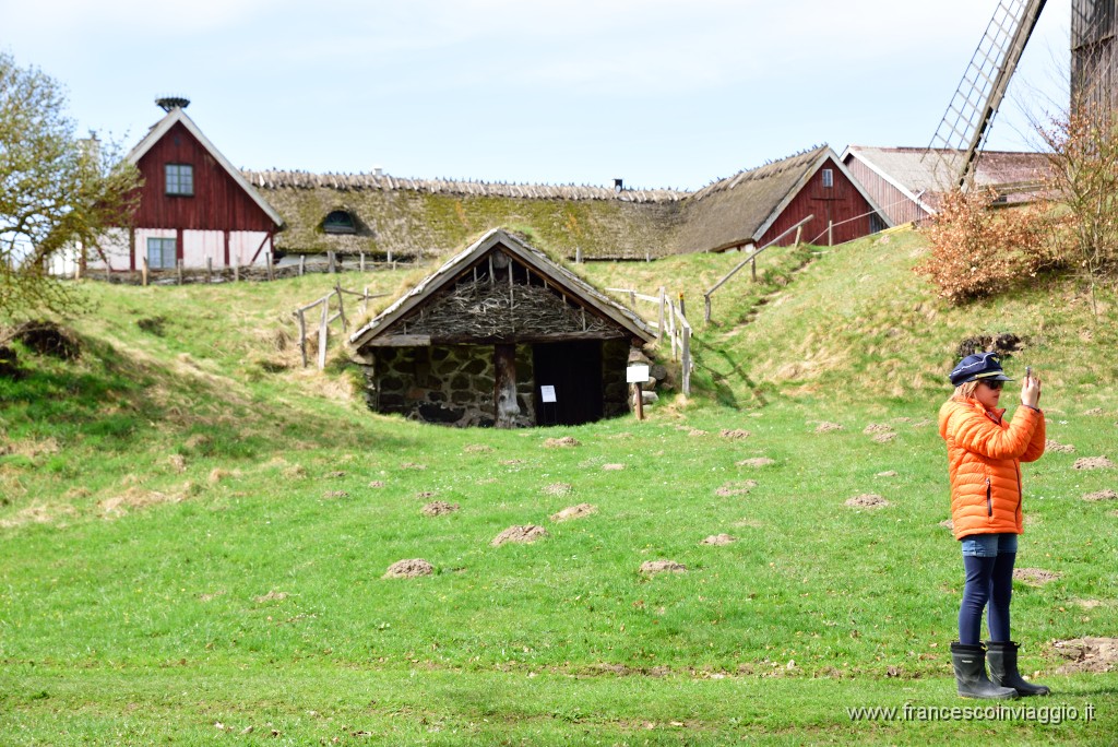 DSC_3035.JPG